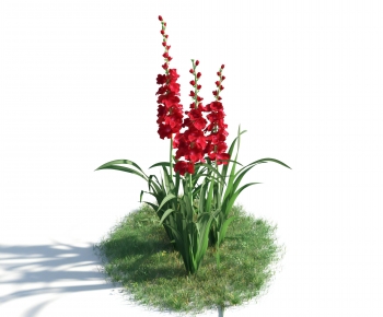 Modern Flowers And Grass-ID:999805933