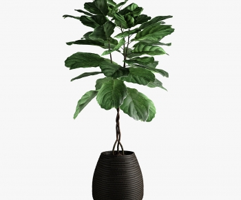 Modern Ground Green Plant Potted Plants-ID:412508961