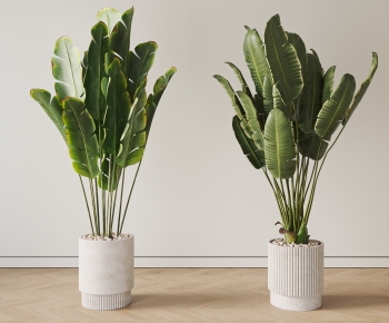 Modern Ground Green Plant Potted Plants-ID:899437908