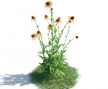 Modern Flowers And Grass-ID:344434024