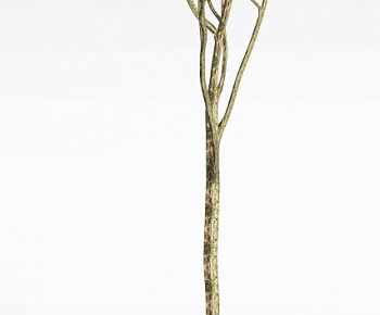 Modern Tree-ID:388612994