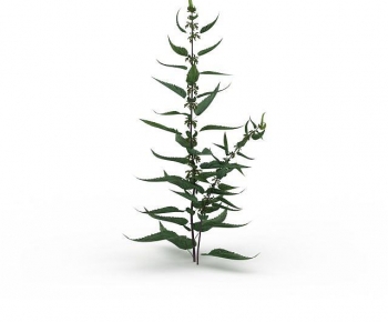 Modern The Grass-ID:774825103