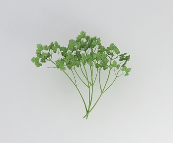 Modern Vegetables-ID:649398096