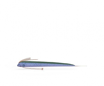 Modern Aquatic Animals-ID:890362026