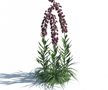 Modern Flowers And Grass-ID:872806079