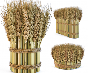 Modern Garden-ID:698622948