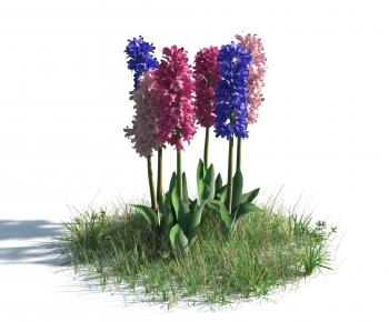 Modern Flowers And Grass-ID:454919105