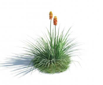 Modern Flowers And Grass-ID:819145924