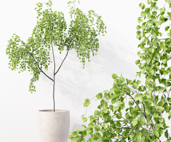 Modern Ground Green Plant Potted Plants-ID:204267982