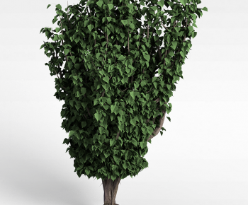 Modern Tree-ID:974611041