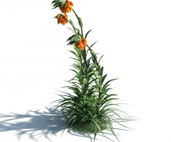 Modern Flowers And Grass-ID:669842968