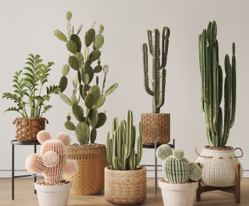 现代仙人掌落地绿植盆栽组合-ID:722944975