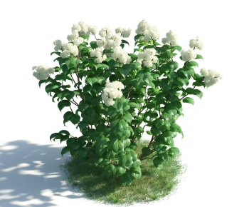 Modern Flowers And Grass-ID:545210887