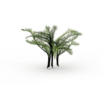 Modern Tree-ID:143734936