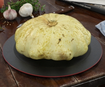 Modern Vegetables-ID:259167916