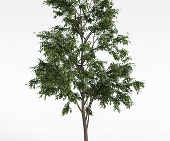 Modern Tree-ID:615396021