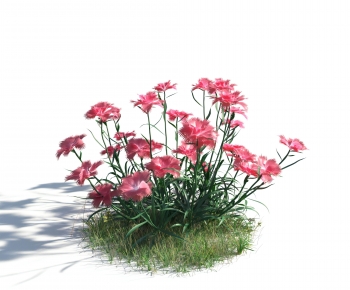 Modern Flowers And Grass-ID:965756895