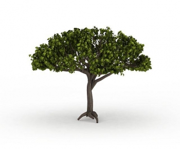 Modern Tree-ID:950360067