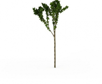 Modern Tree-ID:908974899