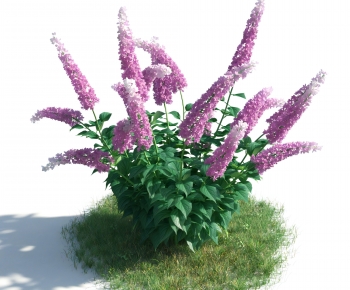 Modern Flowers And Grass-ID:584144129