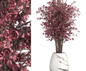 Modern Ground Green Plant Potted Plants-ID:532202018