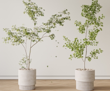 现代落地绿植盆栽组合-ID:410168899