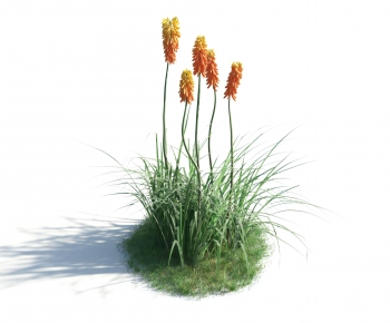 Modern Flowers And Grass-ID:973076113
