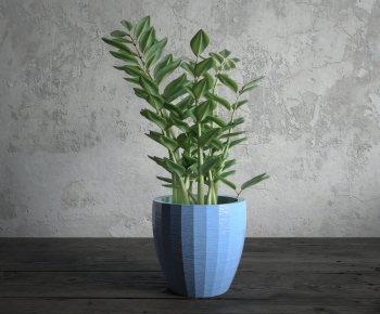 Modern Potted Green Plant-ID:608742959