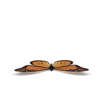 Modern Other Animals-ID:492918974