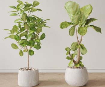 现代落地绿植盆栽组合-ID:656816964