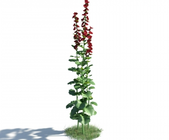 Modern Flowers And Grass-ID:968008044