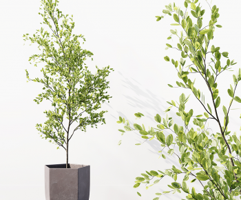 Modern Ground Green Plant Potted Plants-ID:341461907