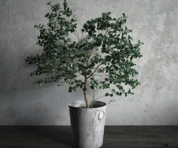 Wabi-sabi Style Ground Green Plant Potted Plants-ID:143280032