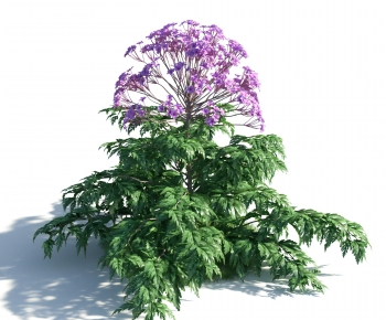 Modern Flowers And Grass-ID:567574024