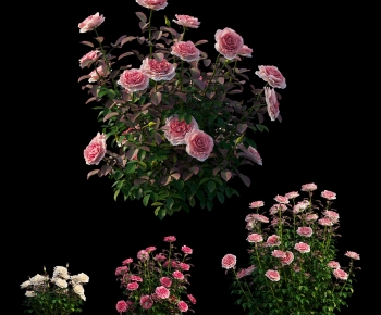 Modern Flowers And Grass-ID:977859028