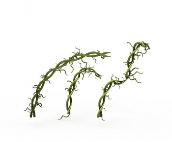 Modern Vine-ID:436494116