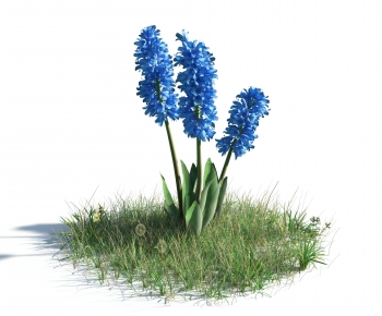 Modern Flowers And Grass-ID:334194908