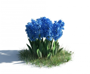 Modern Flowers And Grass-ID:168134939