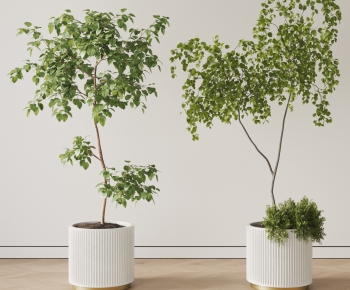 现代落地绿植盆栽组合-ID:475502013