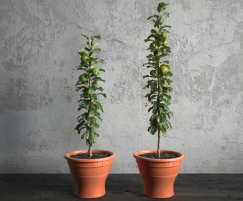 Modern Ground Green Plant Potted Plants-ID:733690334