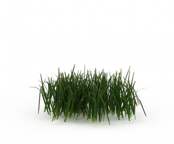 Modern The Grass-ID:180381066