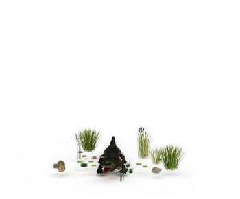 Modern Aquatic Animals-ID:486974008