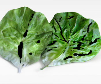 Modern Vegetables-ID:380240925