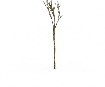 Modern Tree-ID:299120901