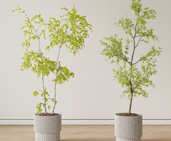 Modern Ground Green Plant Potted Plants-ID:299422983