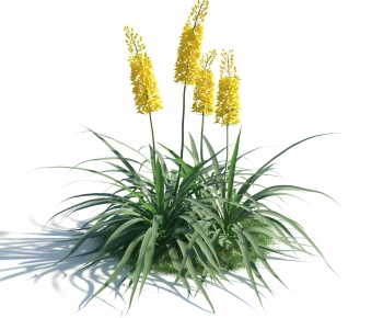 Modern Flowers And Grass-ID:381546976