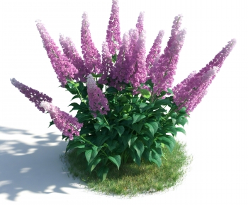 Modern Flowers And Grass-ID:880348926