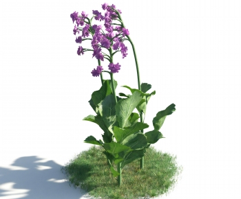 Modern Flowers And Grass-ID:876870285