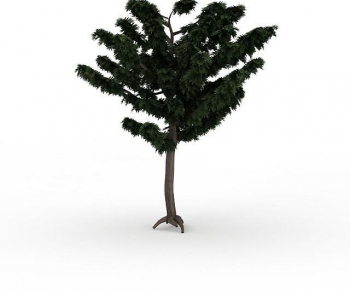 Modern Tree-ID:586044073
