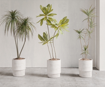 现代落地绿植盆栽组合-ID:507371901